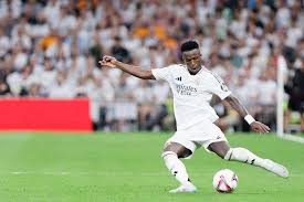 提供了丰富 提供了丰富