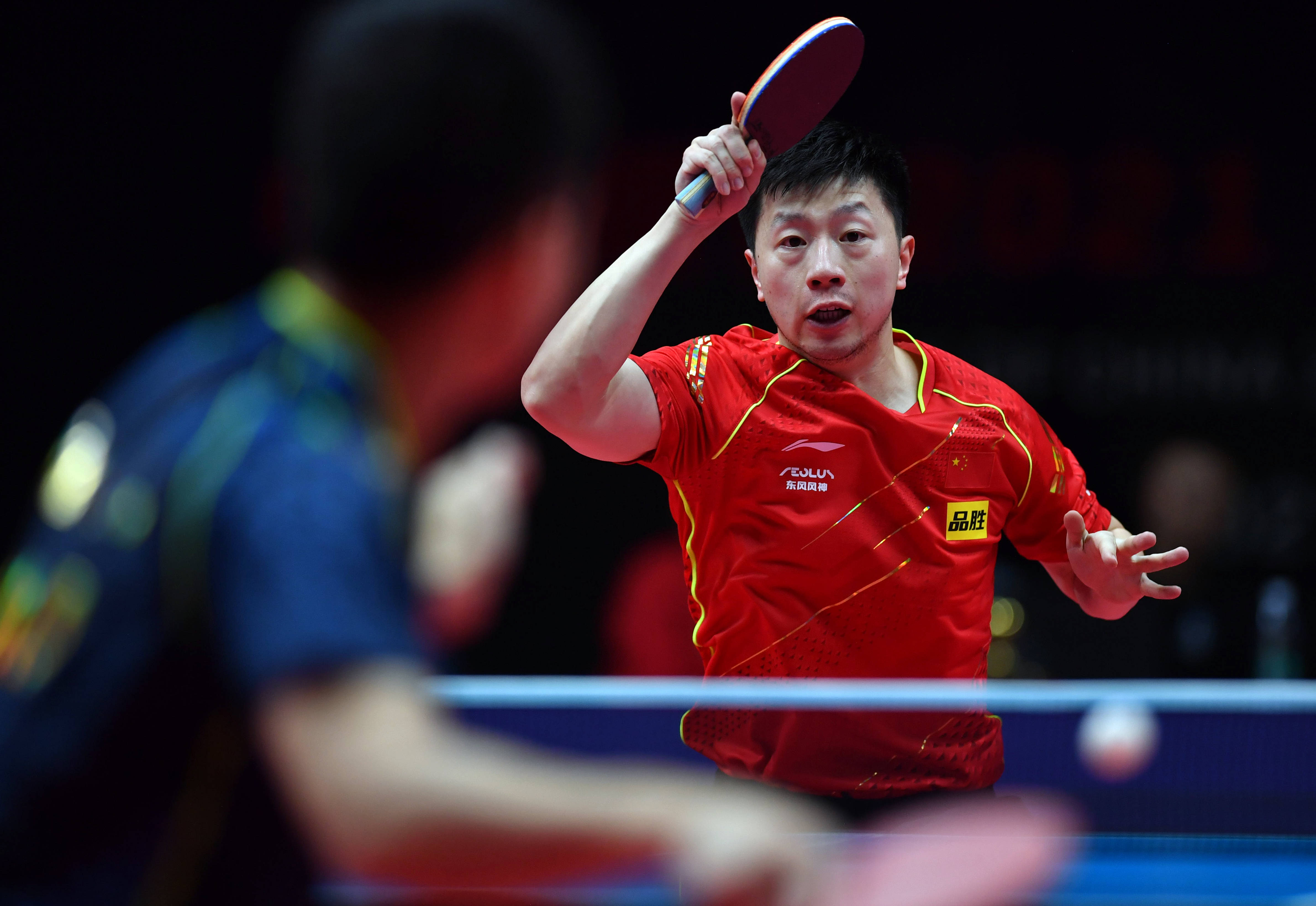 9公斤级决 9公斤级决