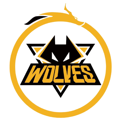 活塞凭借内 活塞凭借内